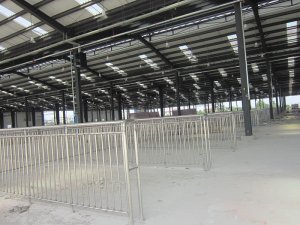 成都不銹鋼欄桿